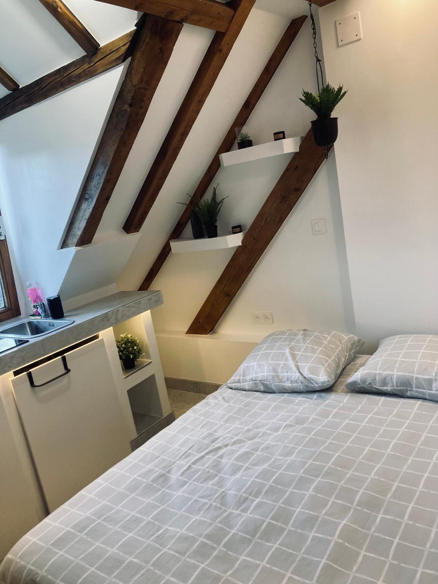 Apartmán Petit Nid Sympa A Štrasburk Exteriér fotografie